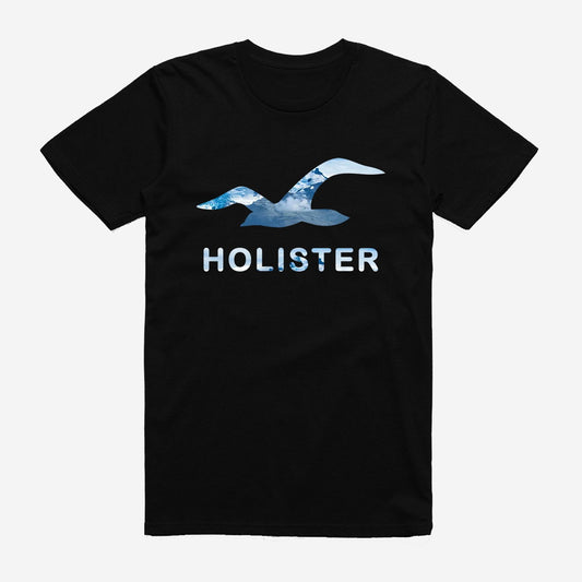 Holister Regular T-shirt